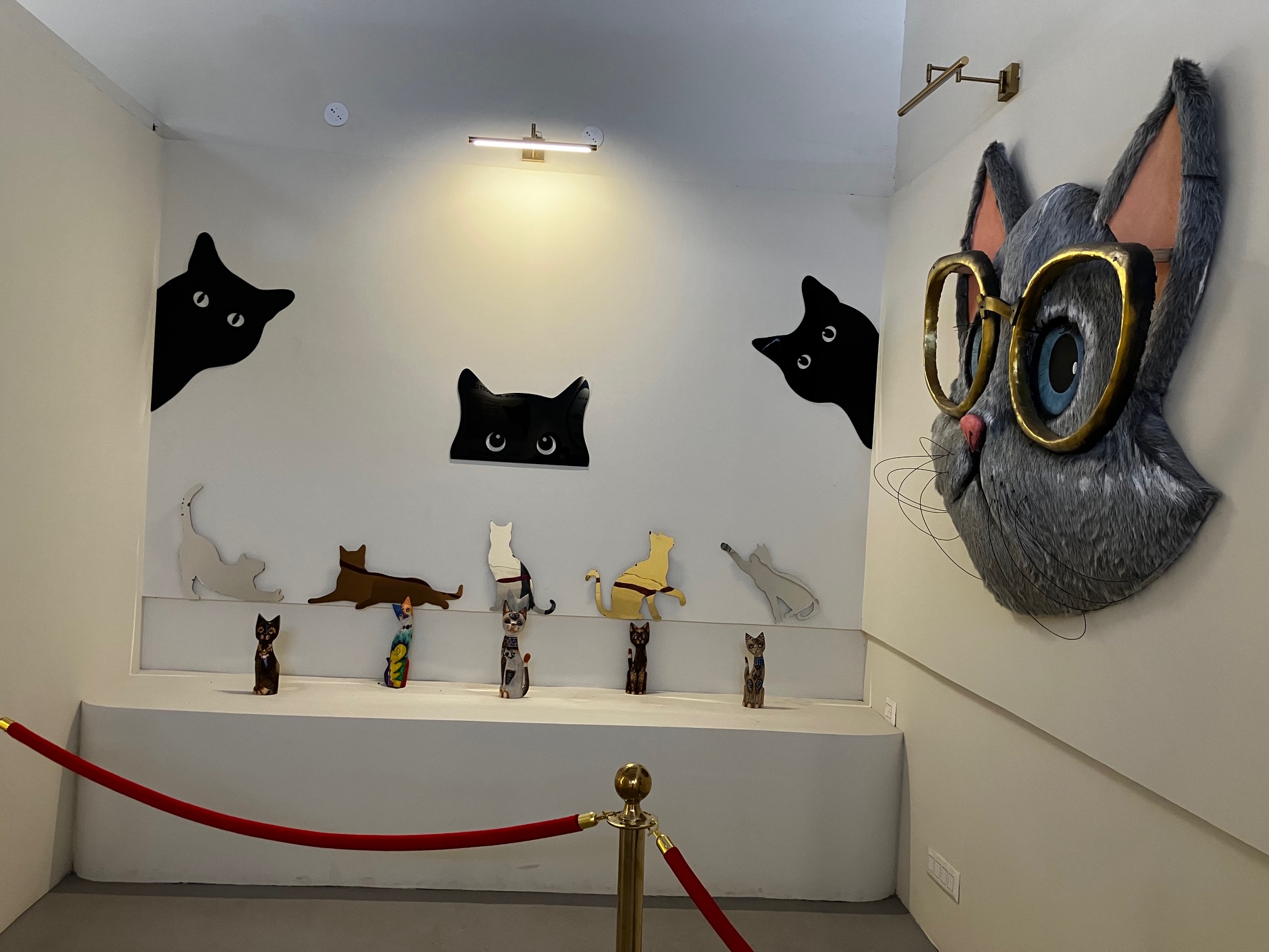 Owner Loses His Pet Cat In An Accident, Builds A Museum In Its Memory In Mysuru