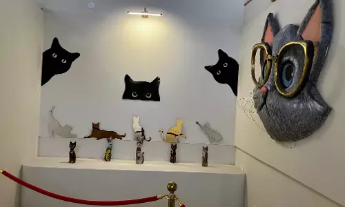Owner Loses His Pet Cat In An Accident, Builds A Museum In Its Memory In Mysuru