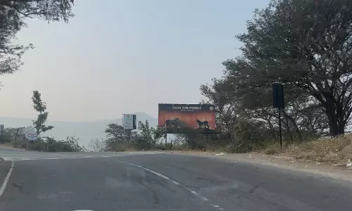 Tiger Spotted on Busy Hyderabad-Srisailam Highway Near Mannanur
