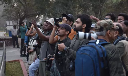 Bird Watchers Spot 70 Species at Zoo Walk