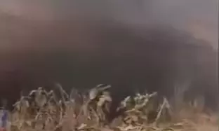 18 Die in Illegal Coal Mine Blast 18 Die in Illegal Coal Mine Blast