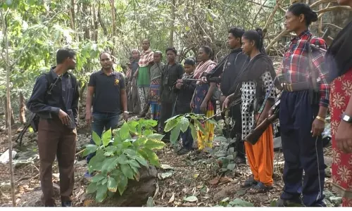 Great Relief: Senior Maoist Leader Nikhil, Wife Ankita Along With 13 Other Cadres Surrender