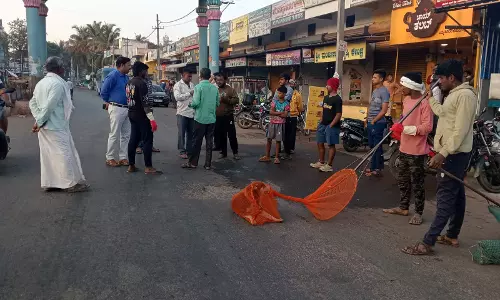 Stray Dog Attacks Leave 22 Injured in Ranebennur Stray Dog Attacks Leave 22 Injured in Ranebennur