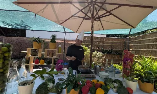 How Thoughtful Kitchens Feed Curious Travellers