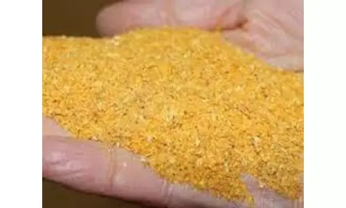 India To Remove Non-tariff Barriers On Agri And Dairy Imports