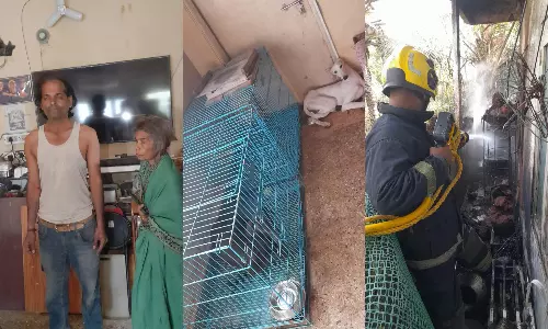 Firefighters Rescue Woman, Son, Pets in Blaze