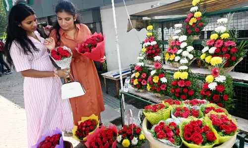 Festivities Have Begun With Rose Day on February 7