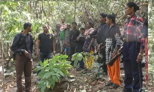 Odisha Emerges As A Key Theatre Of Intensified Security Action Against Maoists