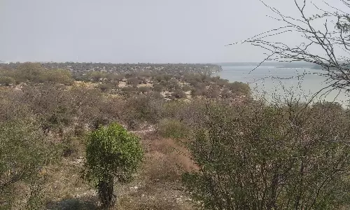 Historian Seeks State’s Protection For 3,000-Year-Old Settlement