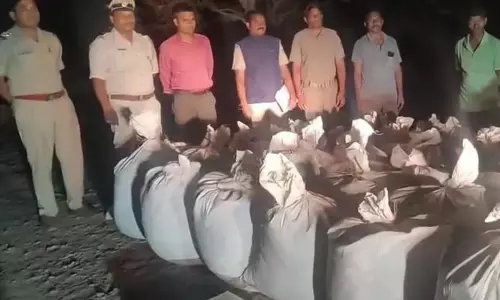 Cannabis Oil Replaces Raw Marijuana In Smuggling Trade; Odisha Emerges As Key Hub