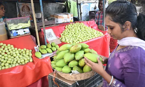 Mango Yield in Andhra Pradesh Expected to Be Fruitful This Year Mango Yield in Andhra Pradesh Expected to Be Fruitful This Year