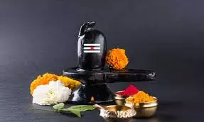 Nellore Collector Reviews Maha Shivaratri Arrangements At Key Shaiva Shrines In Prakasam