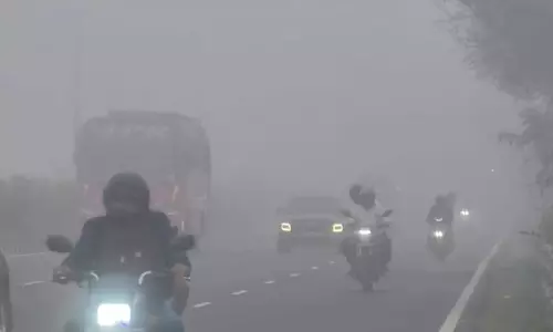 February Fog: Climate Change Rewriting City’s Weather Profile?