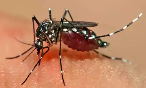 Pilot AI-Based Mosquito Surveillance in Tirupati to Control Hotspots