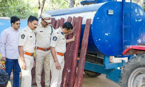 72 Red Sanders Logs Worth ₹1.65 Crore Seized; Four Held