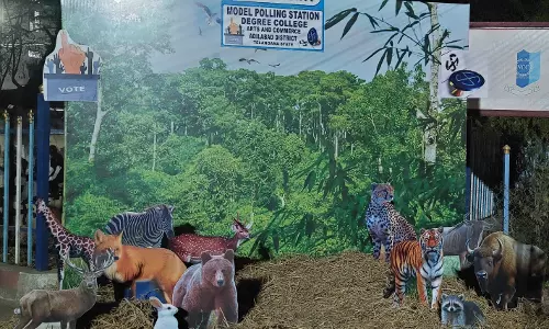 Wildlife Selfie Point At Polling Centre Draws Voters