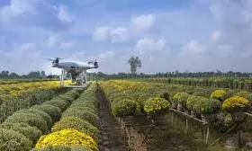 Maharashtra To Host AI For Agriculture Summit