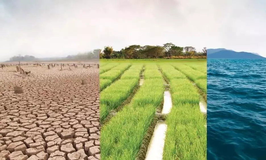 Parties Urged To Include Key Environmental Issues in Manifestos