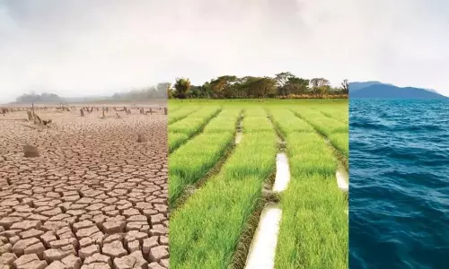 Parties Urged To Include Key Environmental Issues in Manifestos