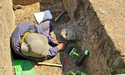 Another Skeletal Remain Unearthed at Garudamule Excavation in Tekkalakote