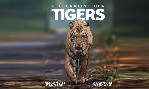Amaan Ali Bangash, Ayaan Ali Bangash Announce New Album ‘Celebrating Our Tigers’