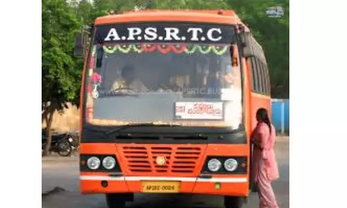 APSRTC To Run Special Buses For Maha Sivarathri, Pakala Beach Festival From Nellore, Prakasam