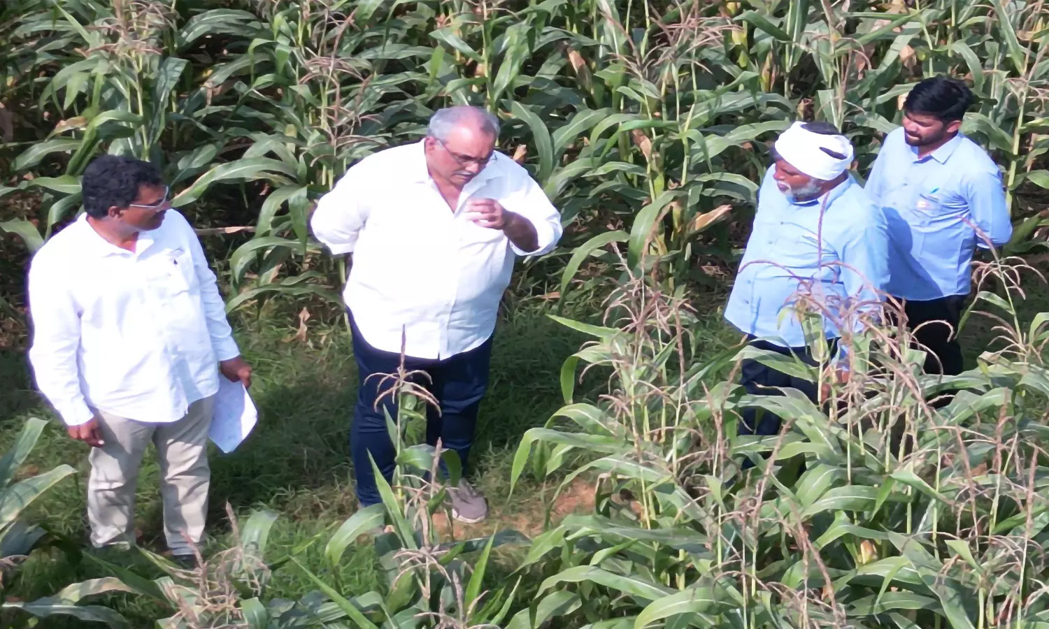 ICAR–IIMR, Gourmet Popcornica Collab Paves the Way for an Aatmanirbhar Popcorn Maize Ecosystem