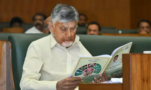 AP Budget Projects Strong Revenue Growth, Higher Welfare Outlay