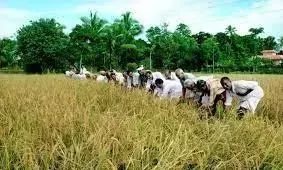 Rs 1.67 Crore Released for Works in 12 Pacs in Erstwhile Chittoor District Rs 1.67 Crore Released for Works in 12 Pacs in Erstwhile Chittoor District