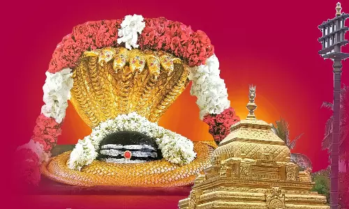 Devotees Flood Srisailam for Maha Shivaratri; Footfall Reaches 2.5 Lakh by Sunday Evening Devotees Flood Srisailam for Maha Shivaratri; Footfall Reaches 2.5 Lakh by Sunday Evening