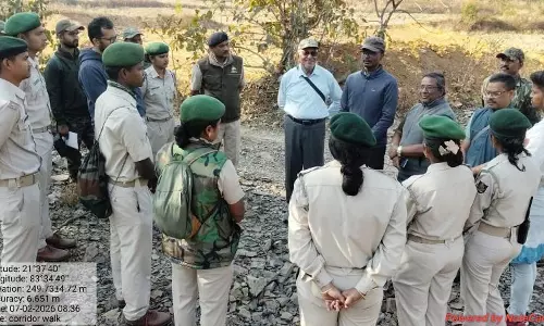 Wildlife Corridors Essential For Seasonal Movement of Animals, Experts