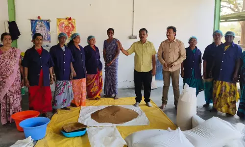 Cultivating Medicinal Plants Is Profitable, Says APMPAB CEO