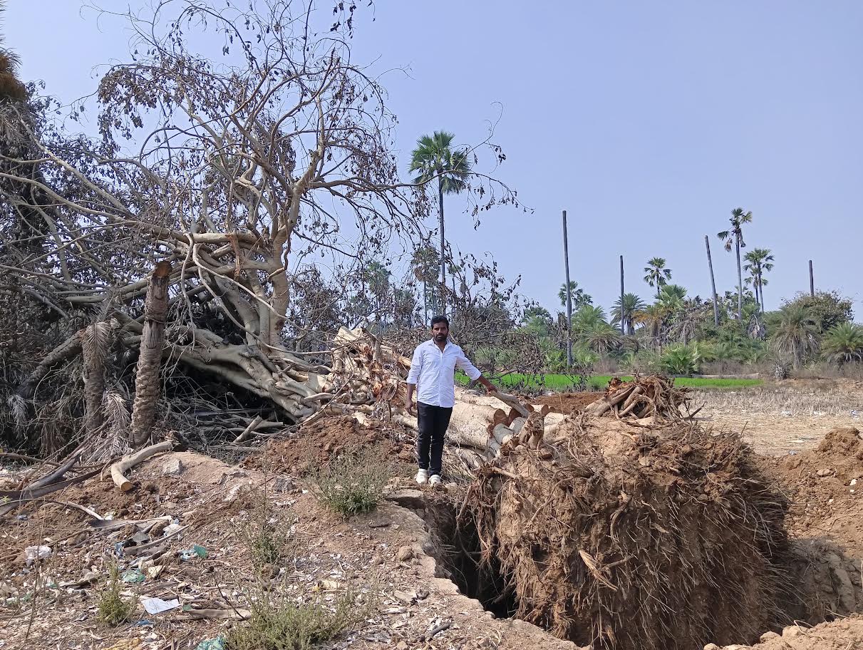 Environmentalist Flags Roadside Tree Destruction, Hill Levelling With Illegal Quarrying