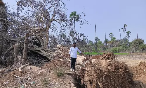 Environmentalist Flags Roadside Tree Destruction, Hill Levelling With Illegal Quarrying