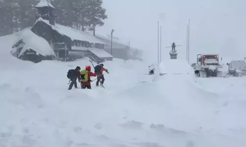 8 Skiers Found Dead and One Still Missing After California Avalanche 8 Skiers Found Dead and One Still Missing After California Avalanche