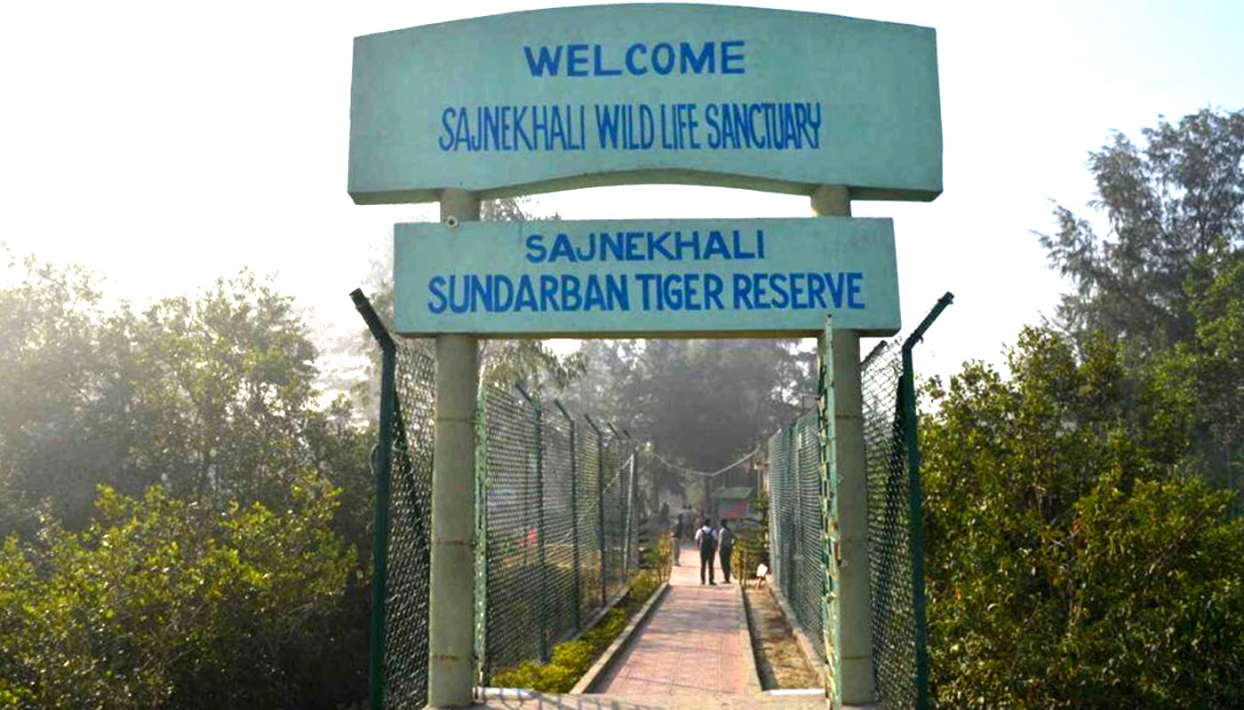 Climate Change Adds To Woes Of Tiger Widows Of Sunderbans