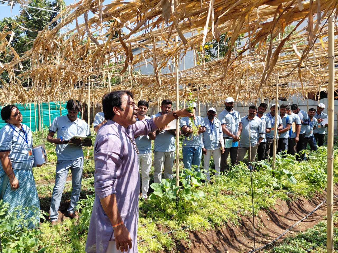 DAESI Team Studies Multilayer Farming Model In Anantapur