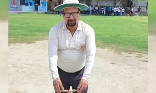 Umpire Dies After Bee Attack During Cricket Match In UP