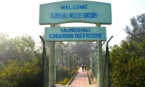 Climate Change Adds To Woes Of Tiger Widows Of Sunderbans Climate Change Adds To Woes Of Tiger Widows Of Sunderbans
