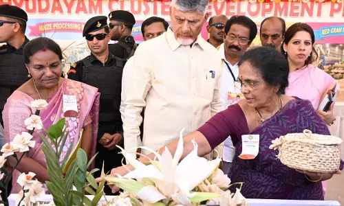 Collecting Garbage Government’s Responsibility, Says CM Naidu