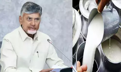 Milk Adulteration Case: Chandrababu Announces Rs 10 lakh Ex Gratia For Victims