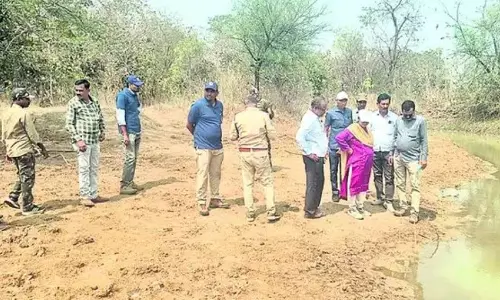 Tiger Movement Confirmed in Kodimyala Forest, Villages on Alert