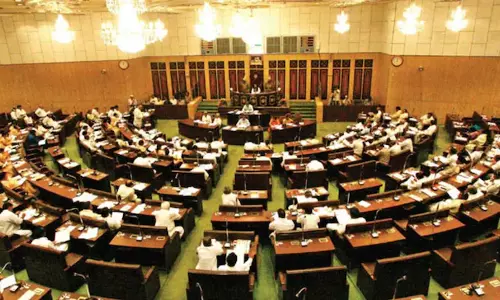 AP Assembly Debates Social Media Regulation