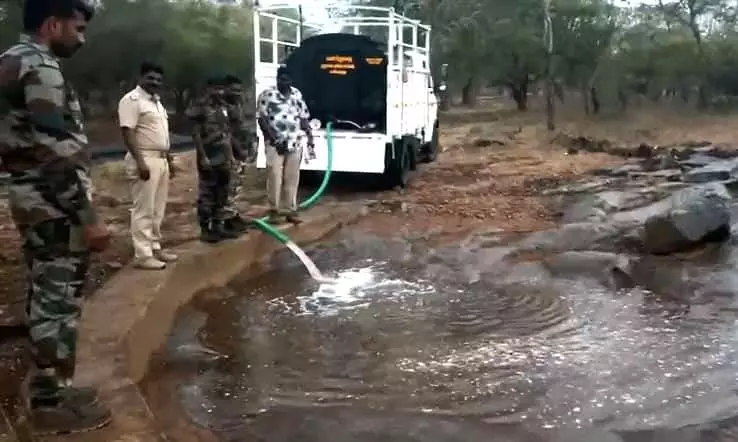 Water Tankers Used To Quench Thirst Of Wild Animals In MTR Region