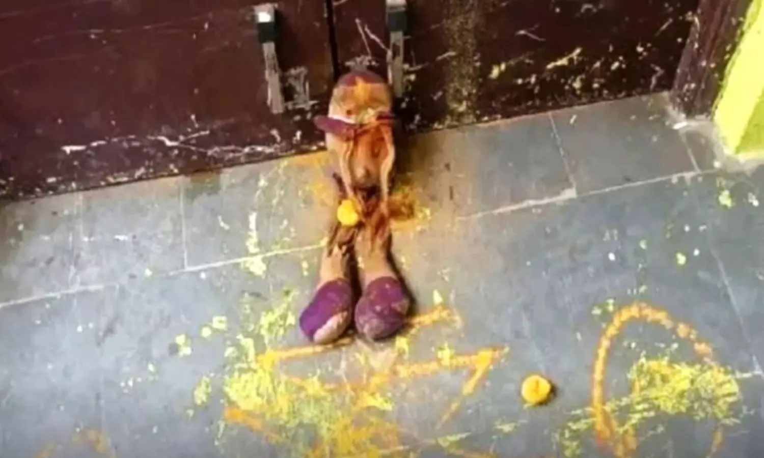 Surge In Black Magic Rituals Sparks Panic In Palakurthi