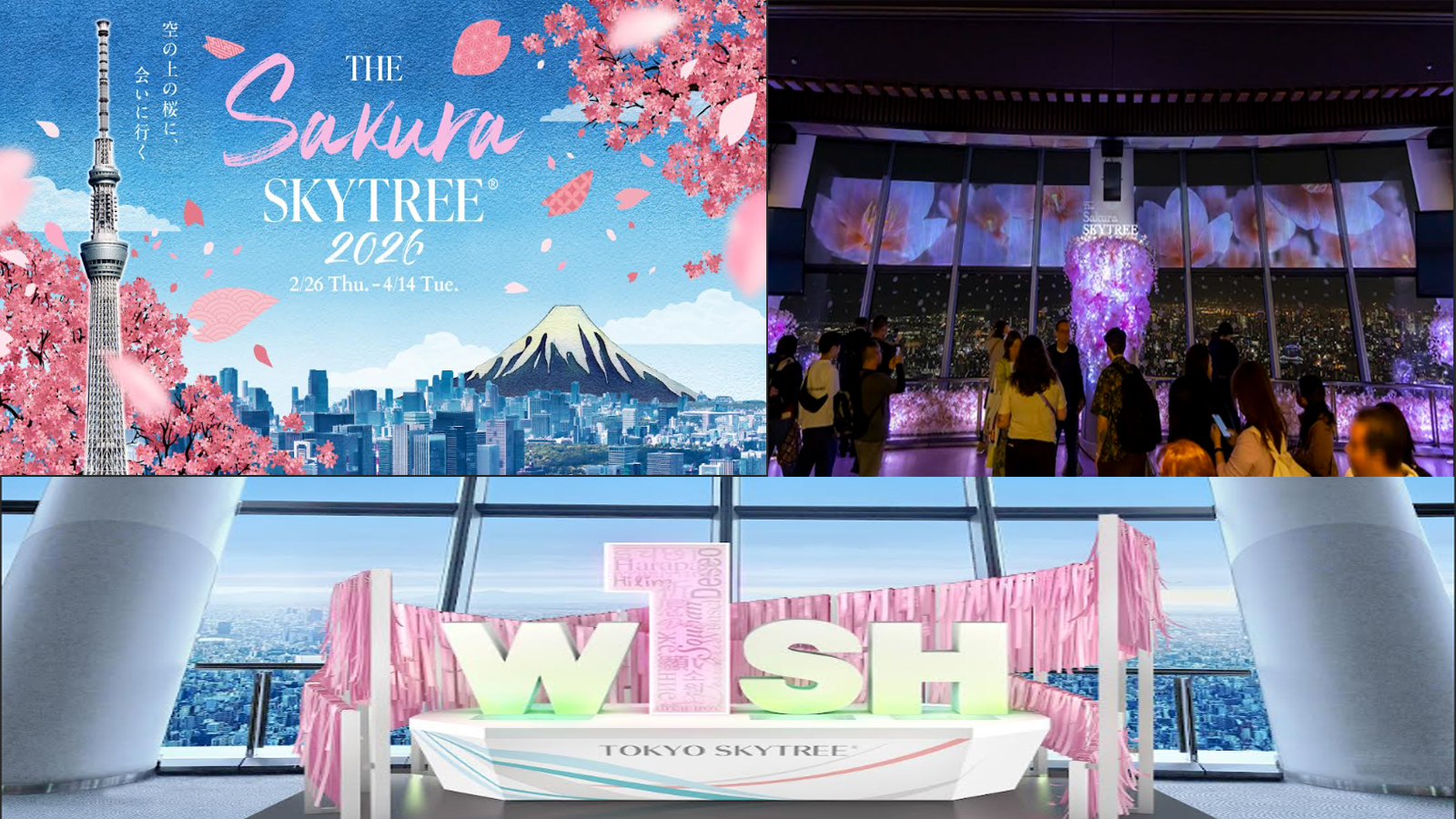 Experience Japan’s Cherry Blossom Season with The Sakura SkyTree