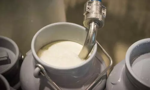 AP Govt Intensifies Crackdown after Milk Contamination Claims 5 Lives