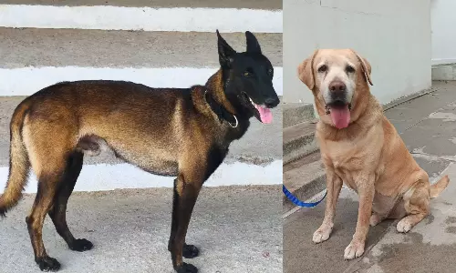 Cyberabad Commissionerate Get 2 Police Canines, Tally is Now 18