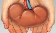 Illegal Moneylenders Under Scanner After Chandrapur Kidney Sale Case