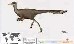 Exquisite Fossil Of One Of The Smallest Dinosaurs Found In Argentina